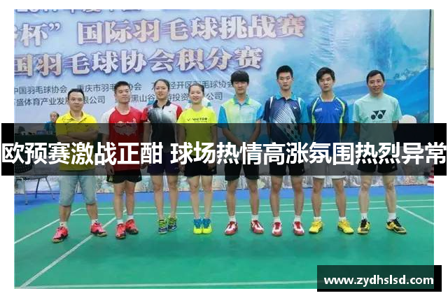 欧预赛激战正酣 球场热情高涨氛围热烈异常