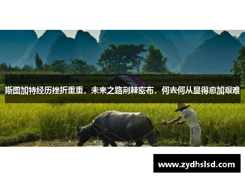 斯图加特经历挫折重重，未来之路荆棘密布，何去何从显得愈加艰难