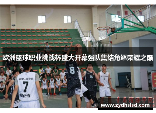 欧洲篮球职业挑战杯盛大开幕强队集结角逐荣耀之巅