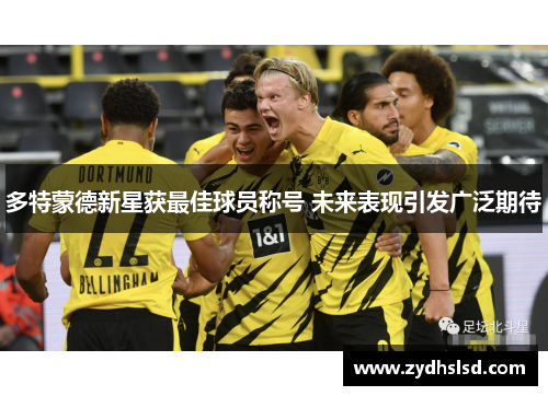 多特蒙德新星获最佳球员称号 未来表现引发广泛期待
