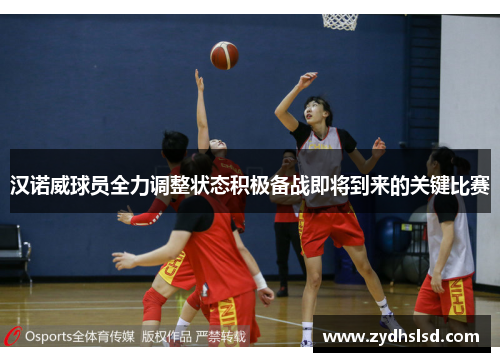 汉诺威球员全力调整状态积极备战即将到来的关键比赛