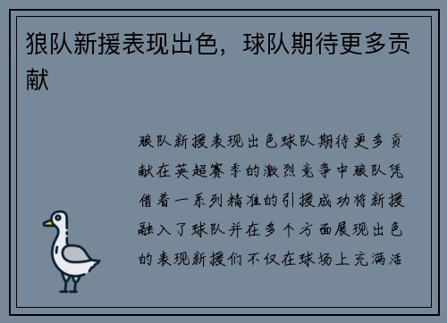 狼队新援表现出色，球队期待更多贡献