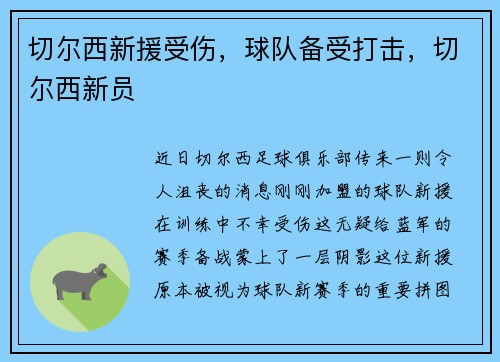 切尔西新援受伤，球队备受打击，切尔西新员